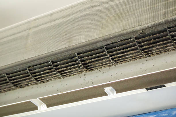 Best Affordable Duct Cleaning Services  in Longmont, CO